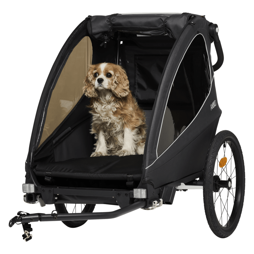 axkid grand tour (09) min