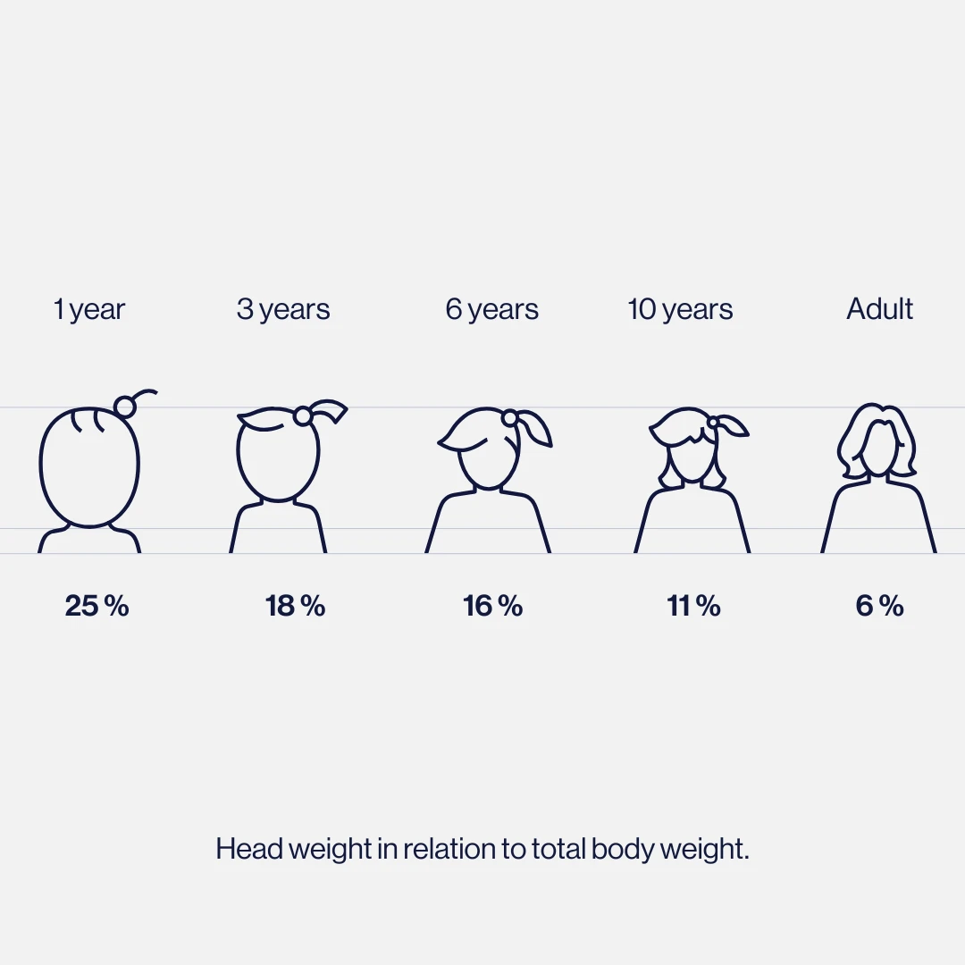 head weight proportions