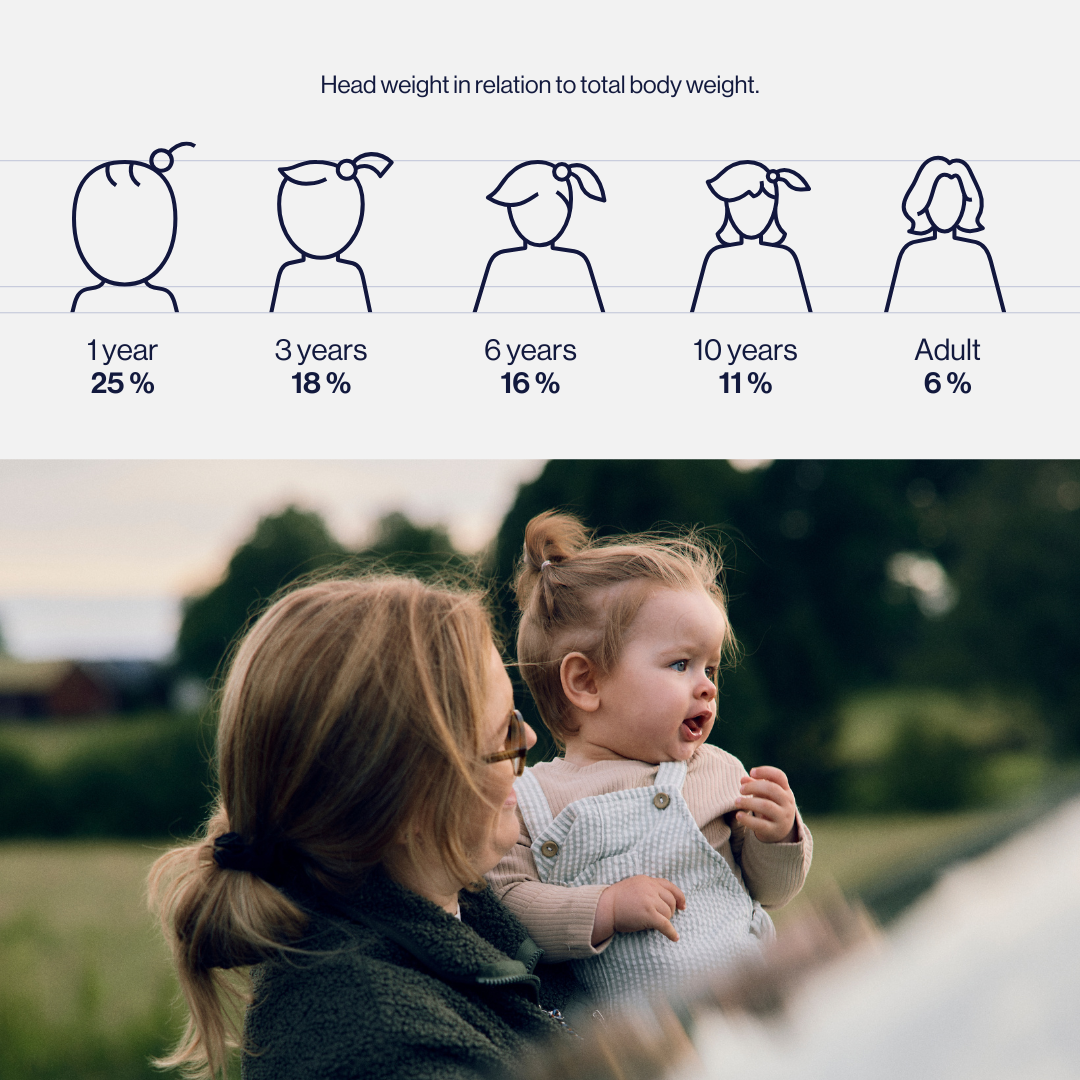 lifeslytel illustration head weight in relation to total body weight.