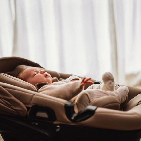 zero pro 600 x 600 (10)