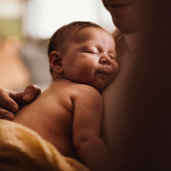 zero pro 600 x 600 (11)