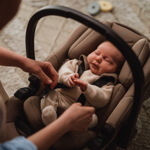 zero pro 600 x 600 (6)