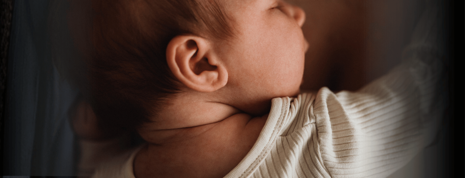 zero pro header image