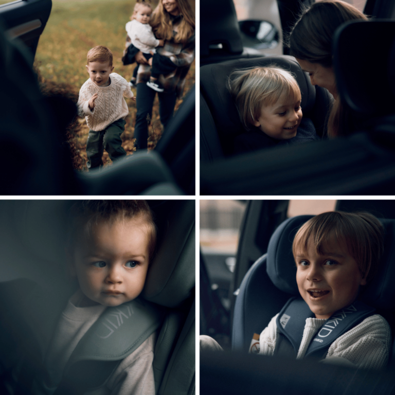 minikd 4 max image for section longevity