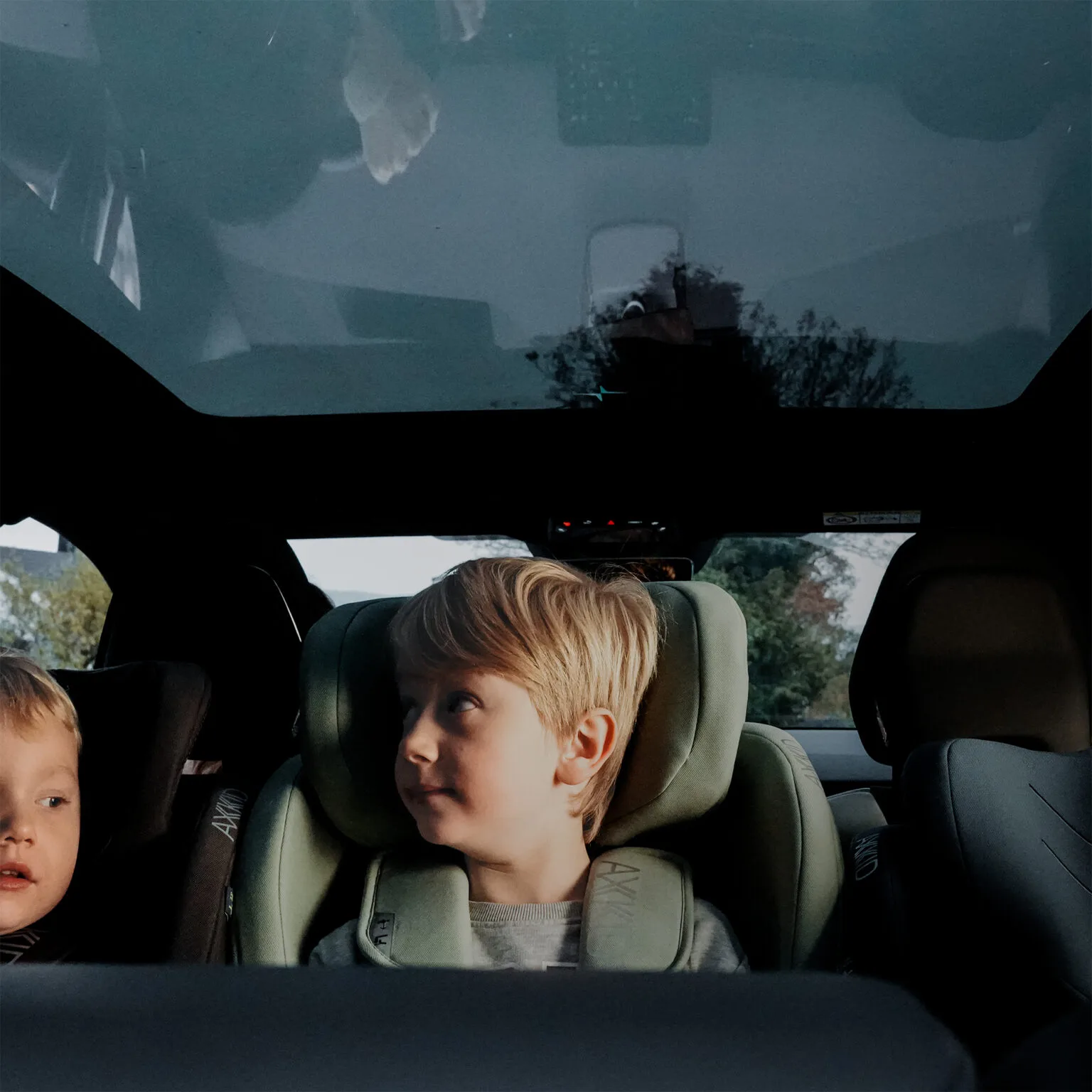 dsc05270 2000x2000 1 1536x1536.jpg